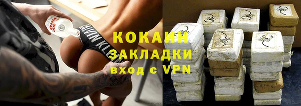 прущие грибы Нефтекумск