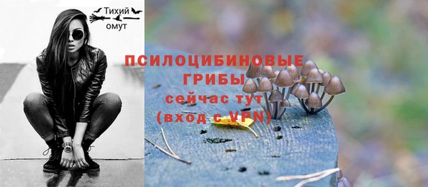 амфетамин Новодвинск