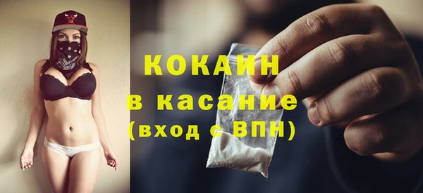 прущие грибы Нефтекумск