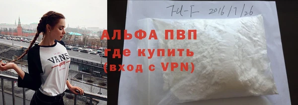 стафф Галич