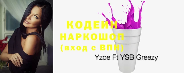 прущие грибы Нефтекумск
