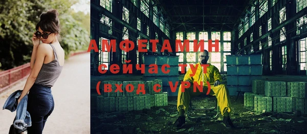 прущие грибы Нефтекумск
