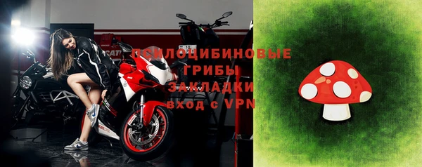 прущие грибы Нефтекумск