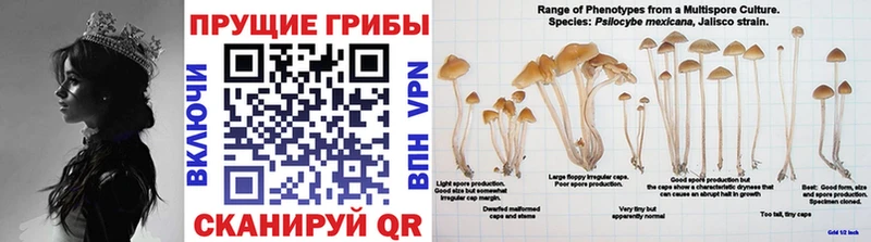 Галлюциногенные грибы GOLDEN TEACHER Отрадное