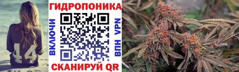 хочу наркоту  Отрадное  МАРИХУАНА White Widow 